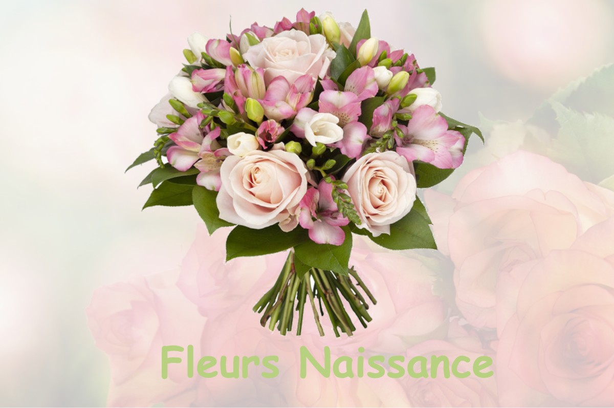fleurs naissance LE-PLESSIS-SAINTE-OPPORTUNE
