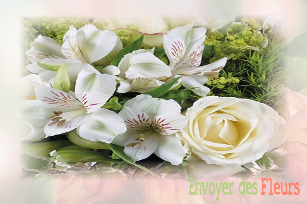 envoyer des fleurs à à LE-PLESSIS-SAINTE-OPPORTUNE
